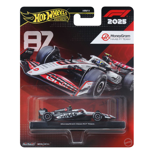 MoneyGram Haas Team #87 – Hot Wheels Price Guide