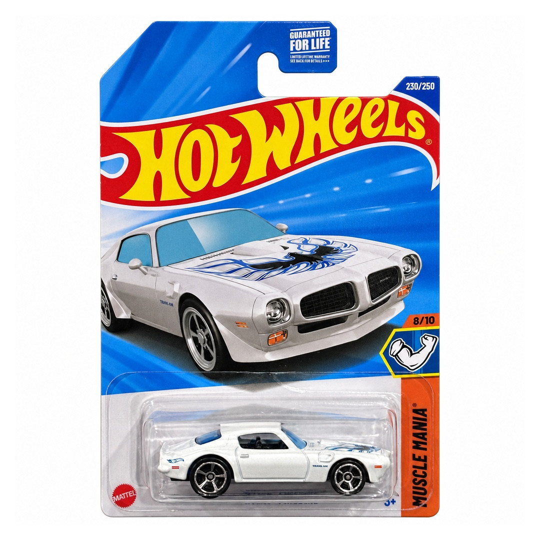 '73 Pontiac Firebird