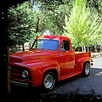 1955F100MUTT