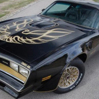 alexhuntingforcars0